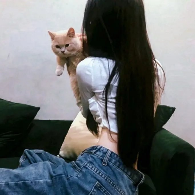 征婚启事
